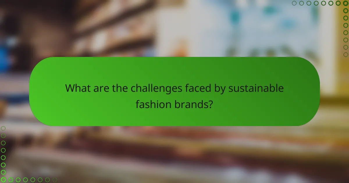 What are the challenges faced by sustainable fashion brands?