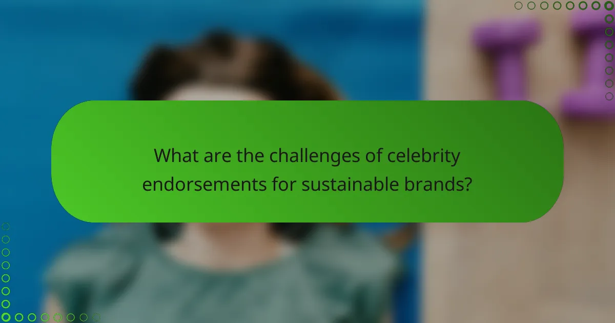 What are the challenges of celebrity endorsements for sustainable brands?