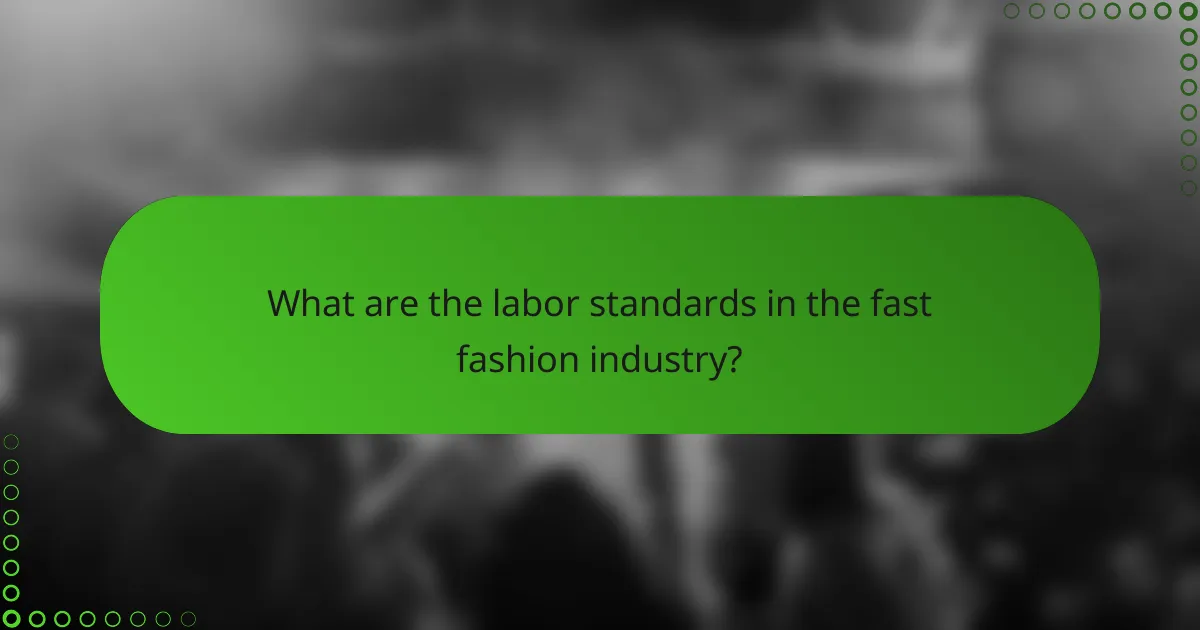 What are the labor standards in the fast fashion industry?