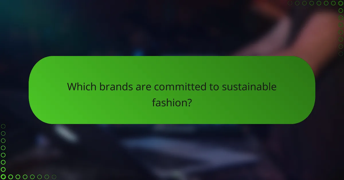 Which brands are committed to sustainable fashion?
