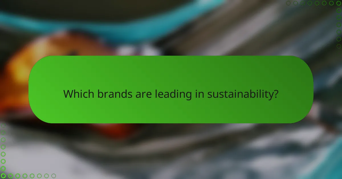 Which brands are leading in sustainability?