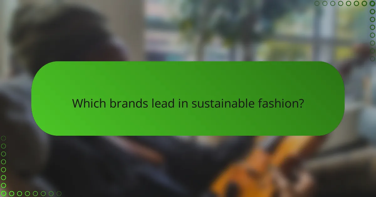 Which brands lead in sustainable fashion?